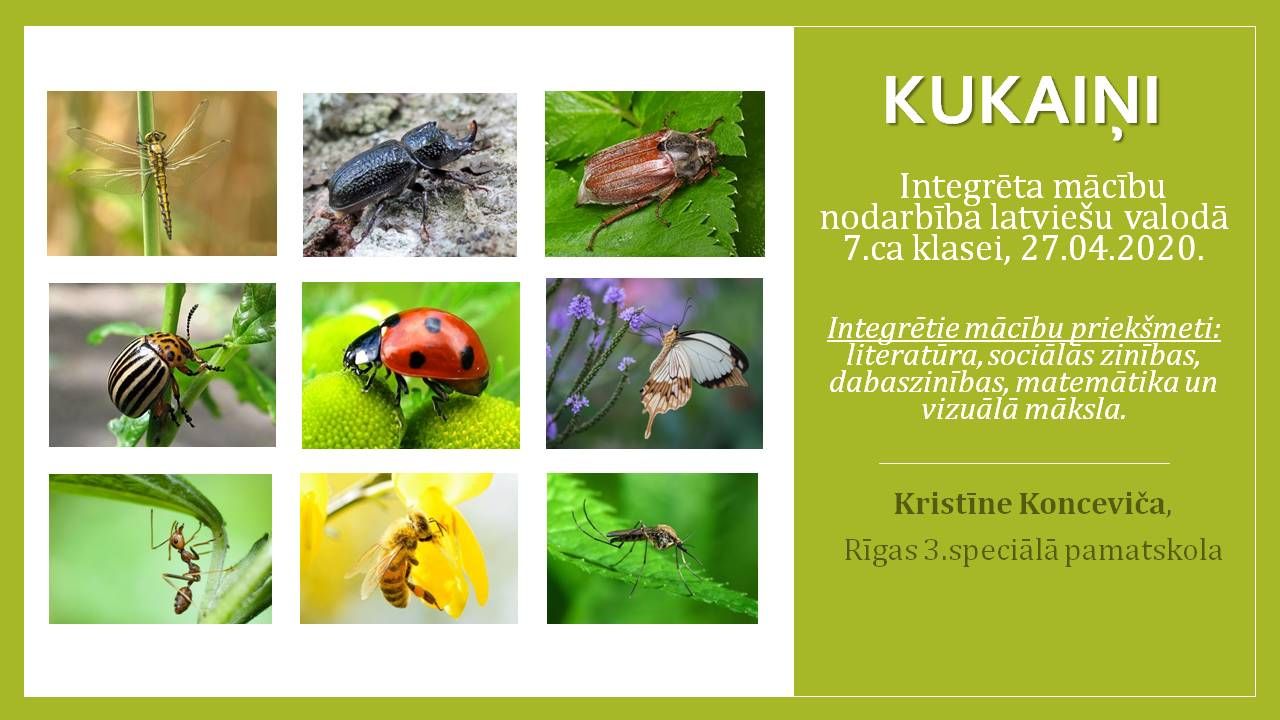 KUKAIŅI. Integrēta mācību nodarbība latviešu valodā