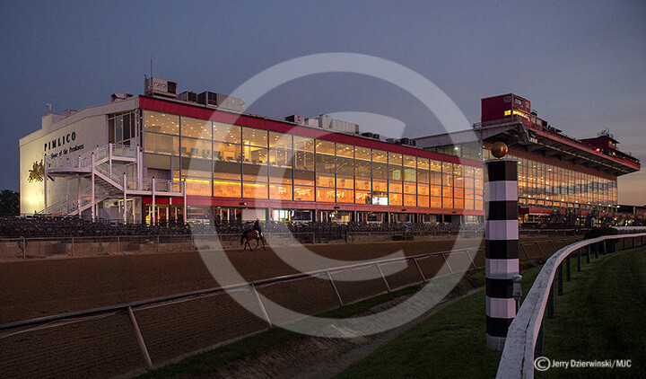 Pimlico 2019