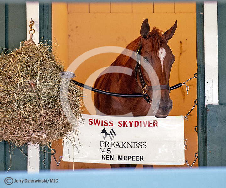 Swiss Skydiver