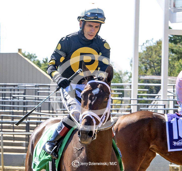 Hill Top Stakes, Evil Lyn