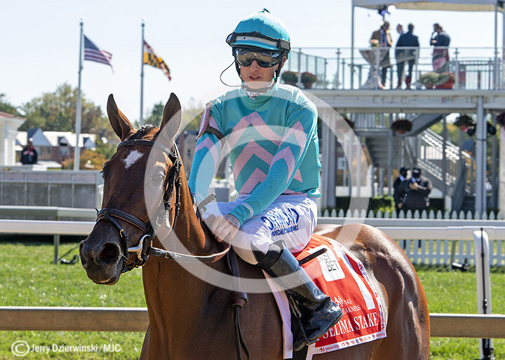 Selima Stakes, Fluffy Socks