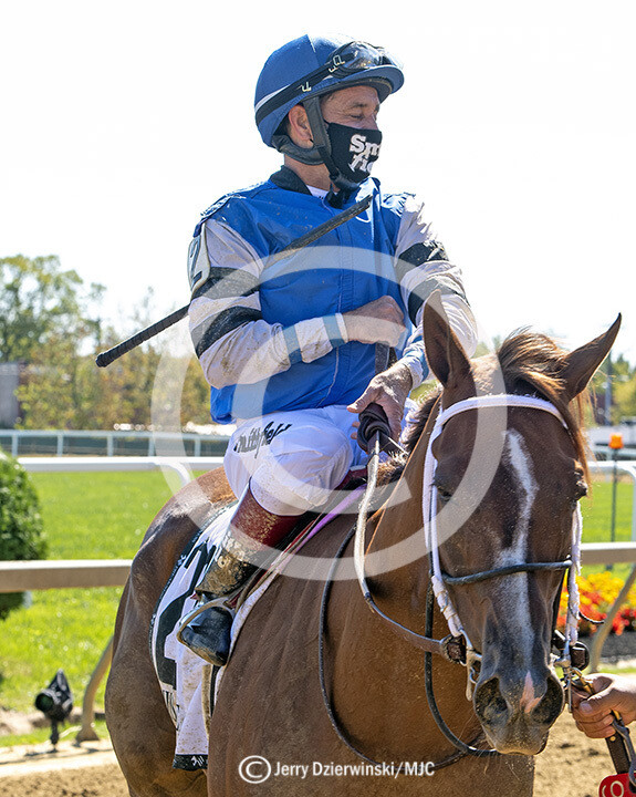 Miss Preakness Stakes, Wicked Whisper