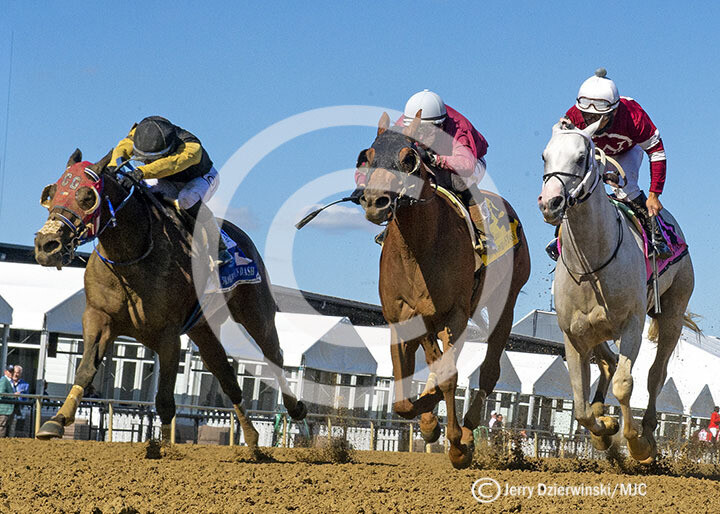 Frank J DeFrancis Stakes, Laki