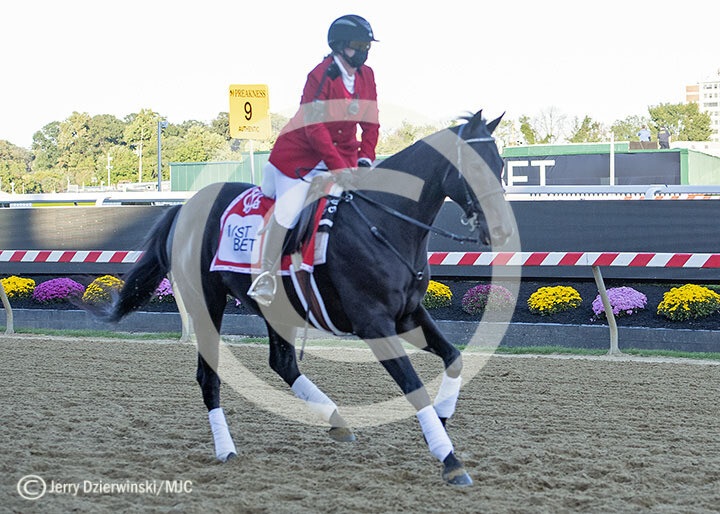 Preakness Outrider