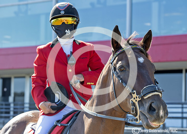 Preakness Outrider