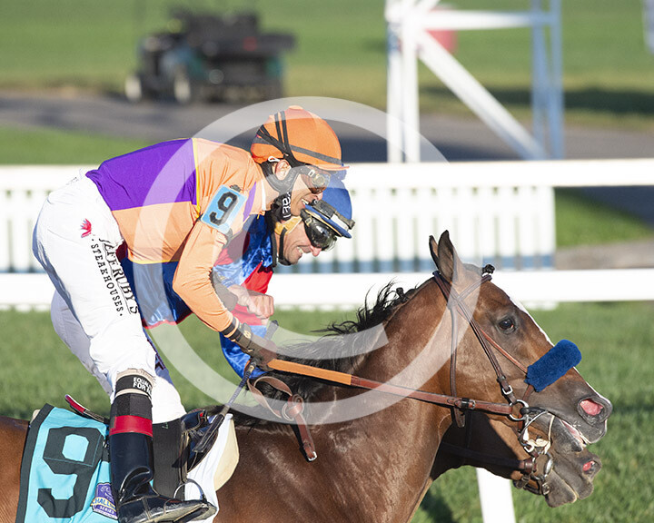 Preakness Finish