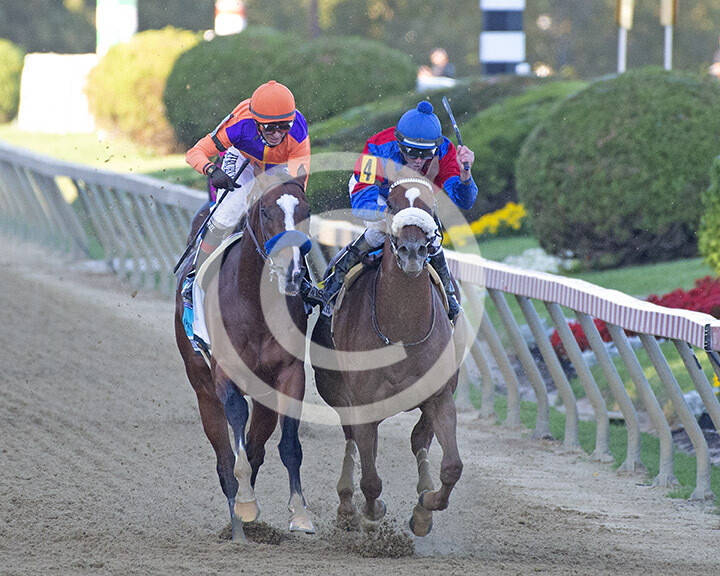 Preakness Finish