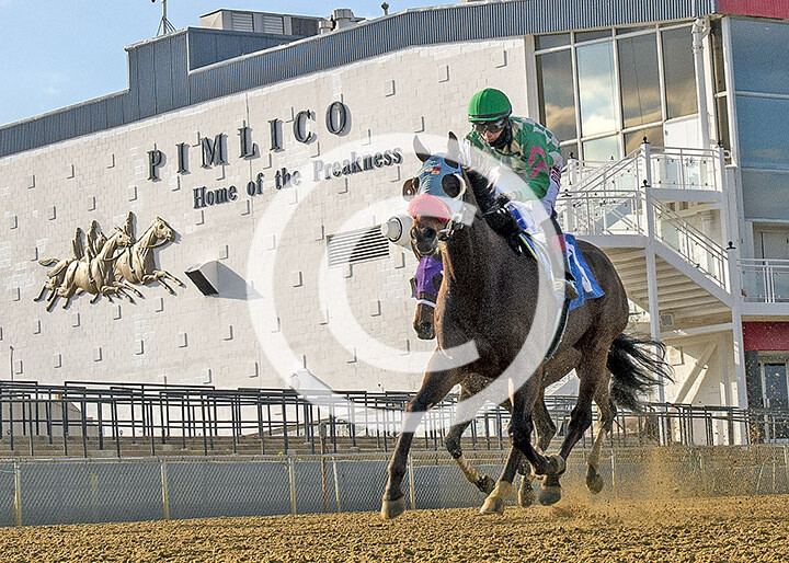 Pimlico. Home of the Preakness