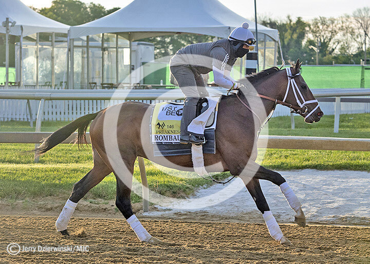 2021 Preakness Winner Rombauer