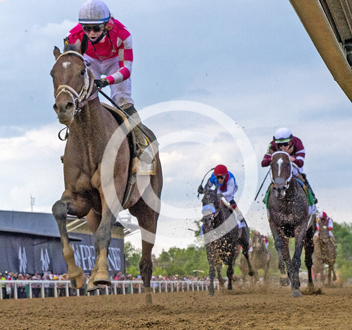 2021 Preakness Winner Rombauer