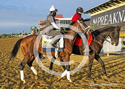 2021 Preakness Winner Rombauer