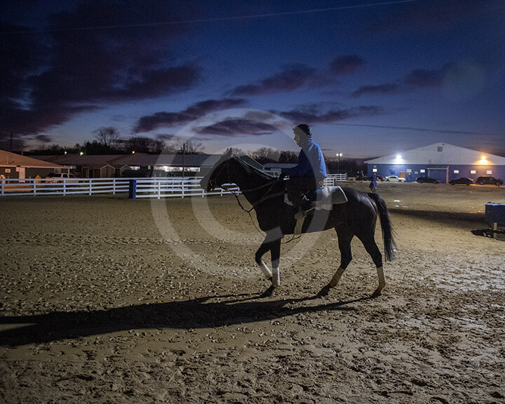 Morning at Laurel