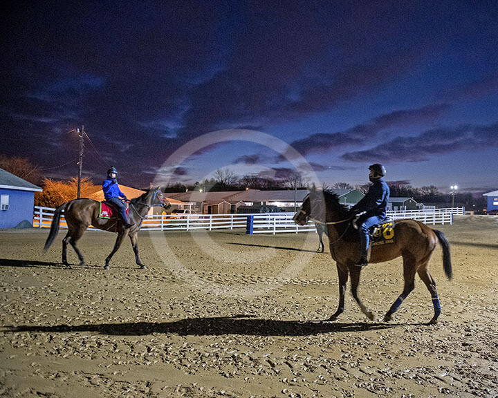 Morning at Laurel
