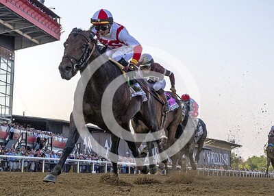 Early Voting winning the 2022 Preakness