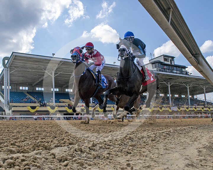 Timonium racing