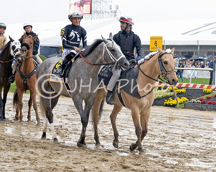 2024 Preakness Post Parade (9938)