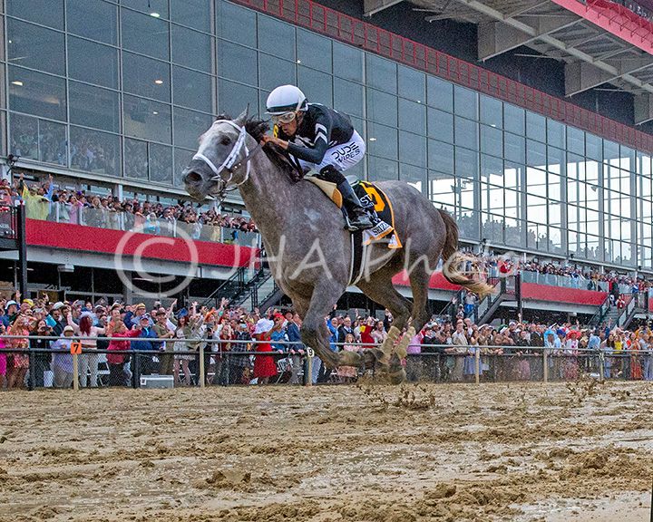 2024 Preakness Seize the Grey (8690) 24x36 Print