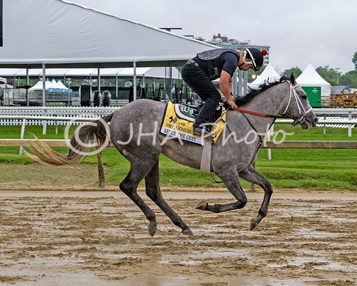 2024 Preakness Seize the Grey (7695)