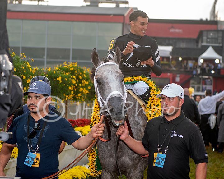 2024 Preakness Seize the Grey (6609)