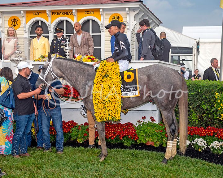 2024 Preakness Seize the Grey (6635)