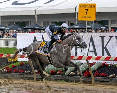 2024 Preakness Seize the Grey (0005)