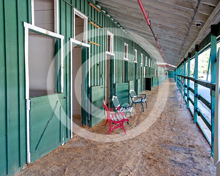 Pimlico 0805