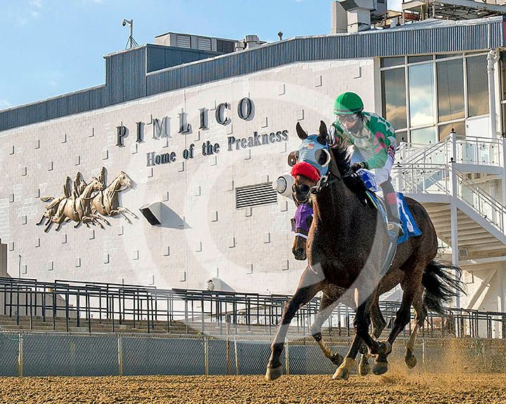 Pimlico 9930