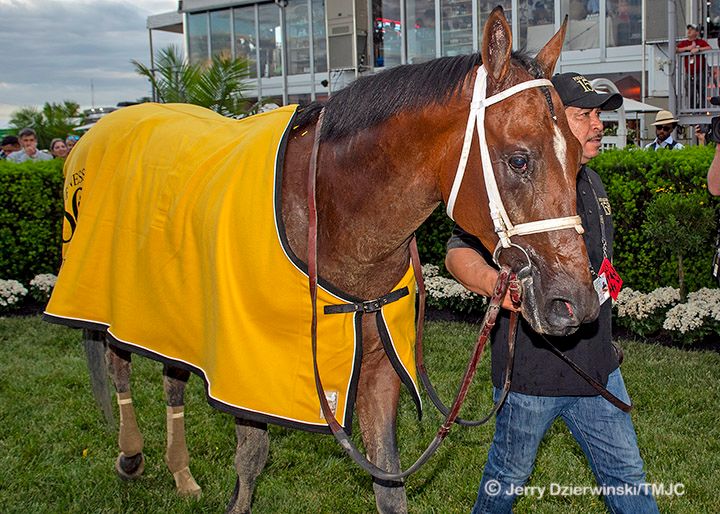 2025 Preakness Winner's Circle (2287)