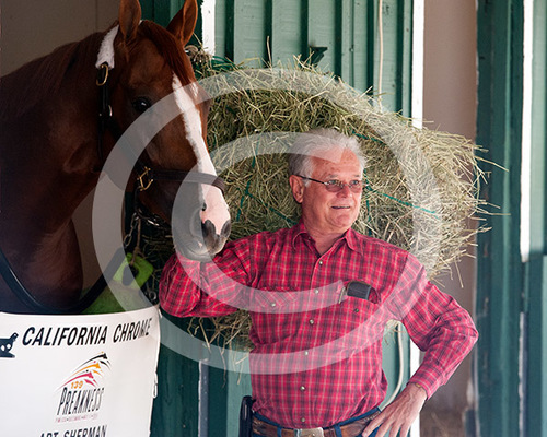 California Chrome