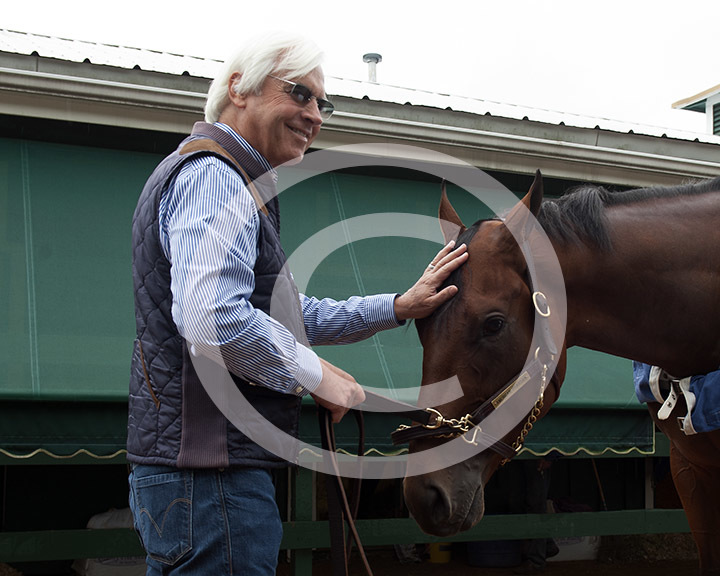 American Pharoah