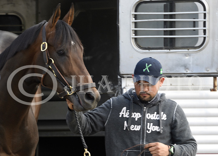 Exaggerator