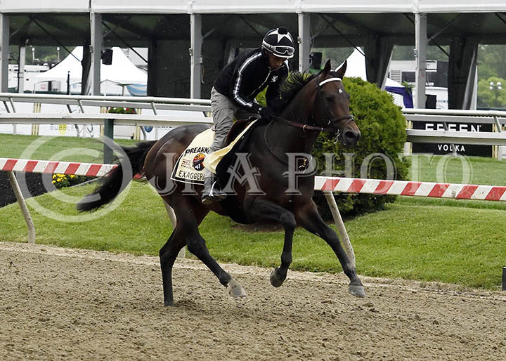 Exaggerator