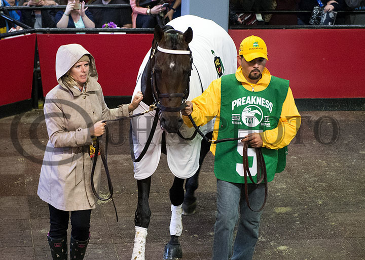 Exaggerator