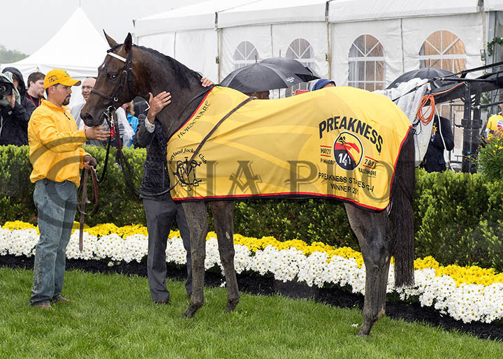 Exaggerator