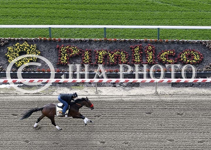 Nyquist