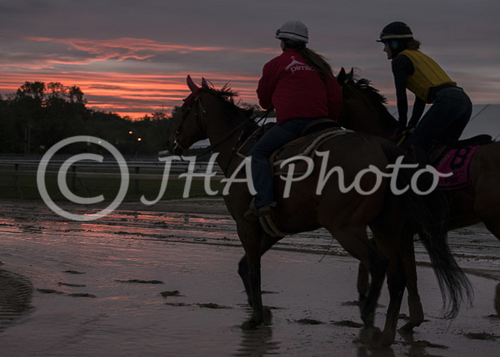 Pimlico
