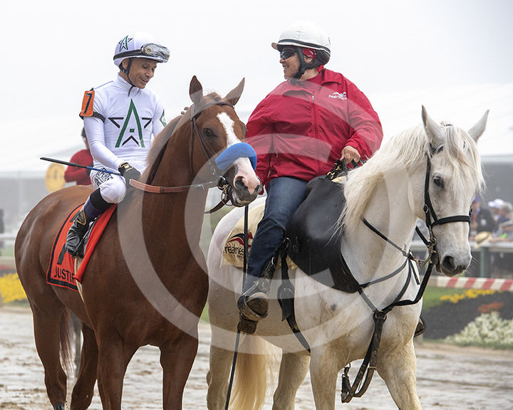 Justify in Preakness Post Parade