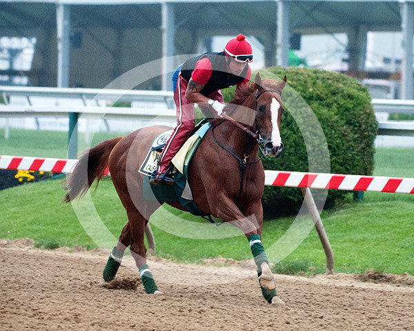 California Chrome