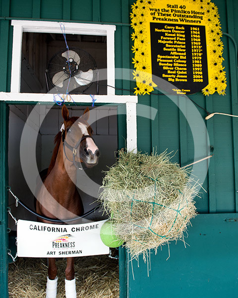 California Chrome