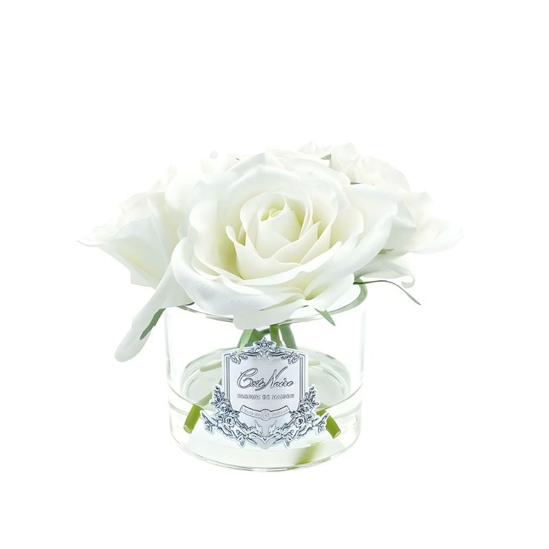 5 ROSE IVY WHT -CL