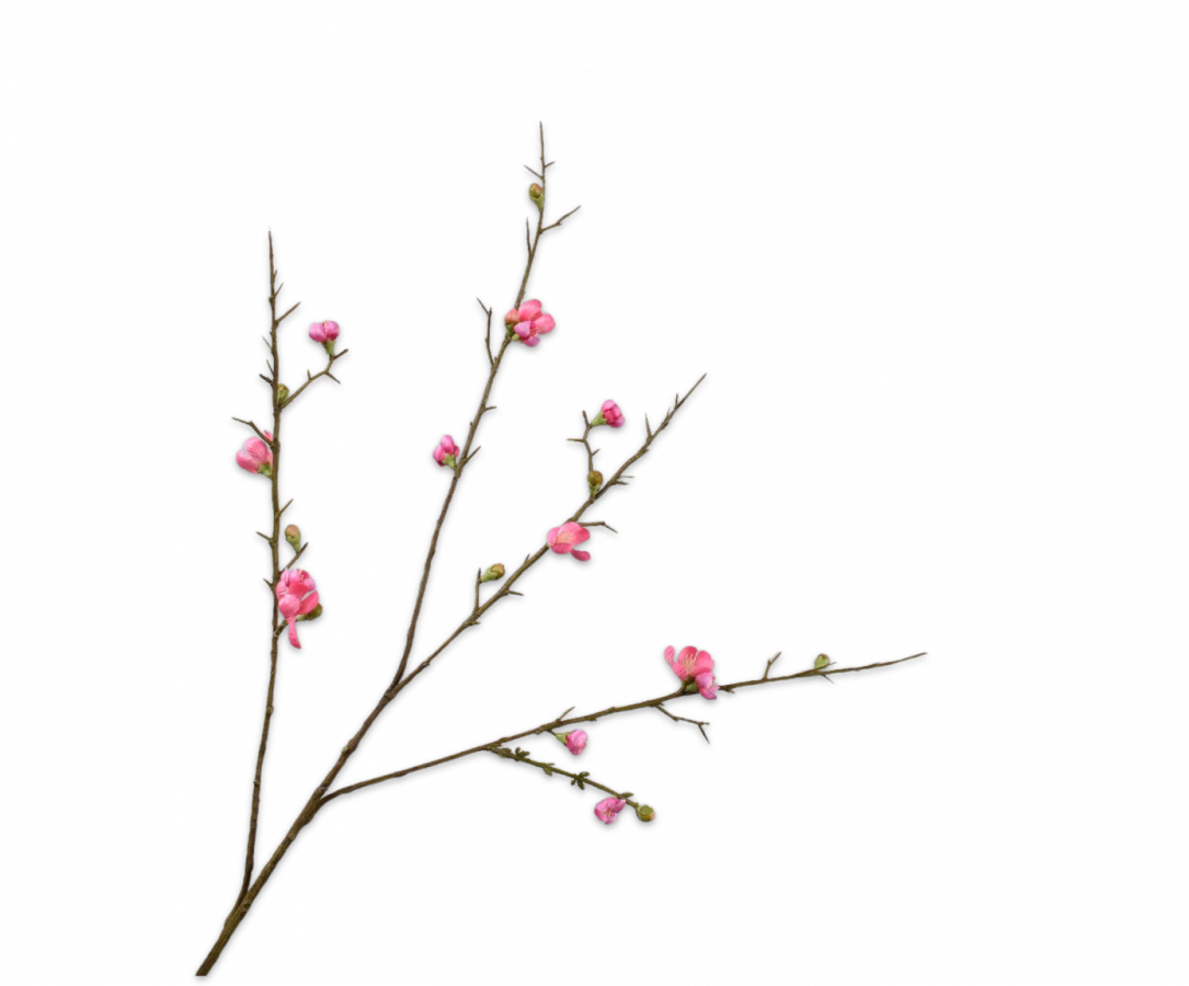 BLOSSOM SPRAY PK. 85CM