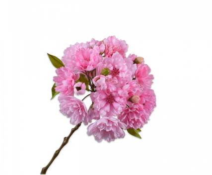 BLOSSOM STEM PK. 85CM