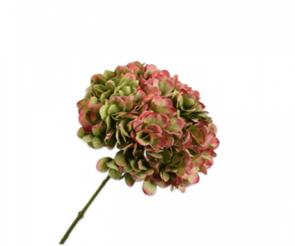 HYDRANGEA STEM -GRN/MVE 86CM