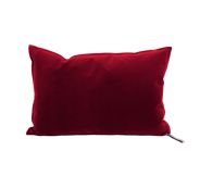 CUSH PALAZ VEL BAISER 30X50