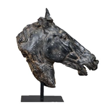 SELENE'S HOUSE HEAD XS BK