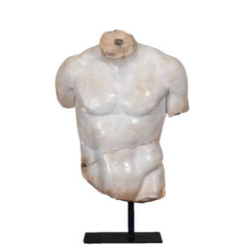 TORSE DE DISCOPHORE XS