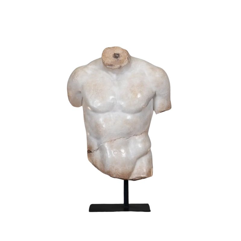 TORSE DE DISCOPHORE XS