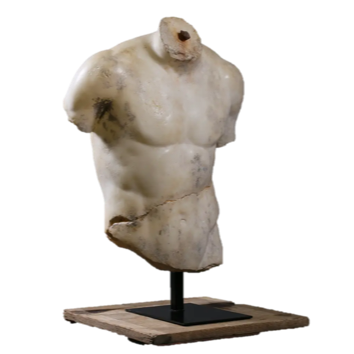 TORSE DE DISCOPHORE XL