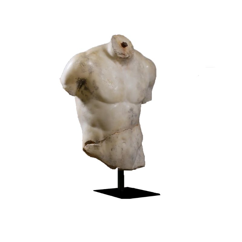 TORSE DE DISCOPHORE XL