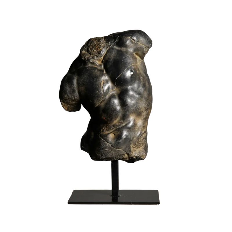 APOLLO'S TORSO BK